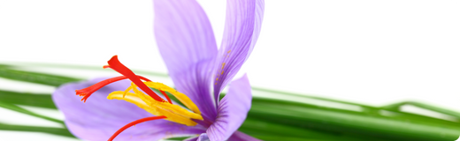 Find Saffron Supplements in the UK